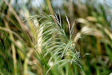 《光与影：33号远征队》开发商暗示新作将完全不同