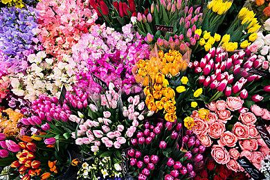 游戏总监解释《星球大战绝地：幸存者》不登陆旧主机：契合开发愿景