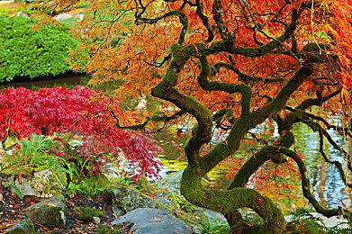 Steam版《双人成行》不再需要EA启动器